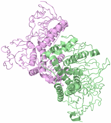 Image Biological Unit 2