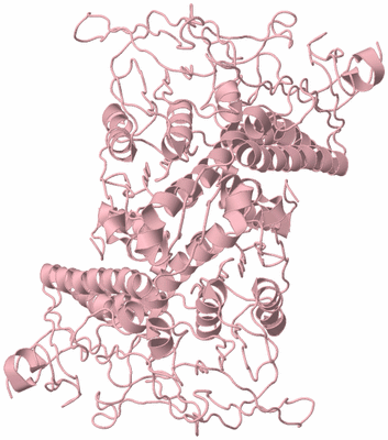 Image Biological Unit 3