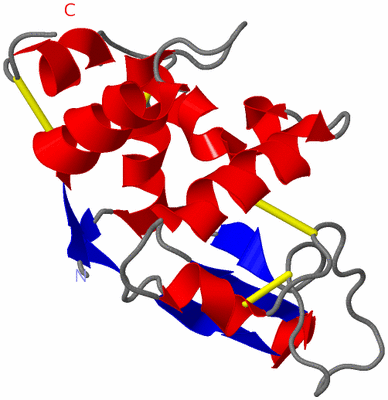 Image NMR Structure - model 1