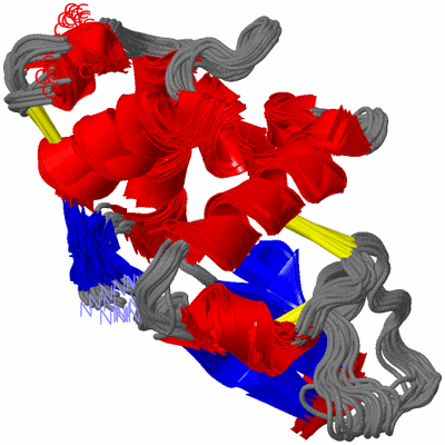 Image NMR Structure - all models