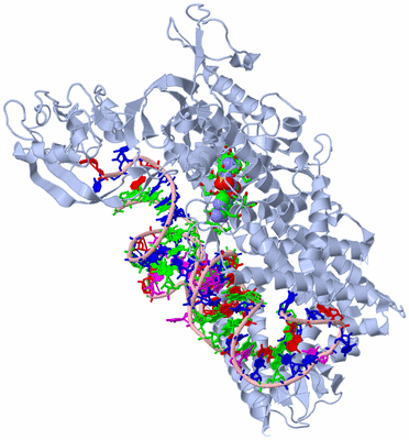 Image Biol. Unit 1 - sites