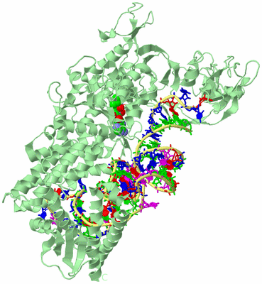 Image Biological Unit 2