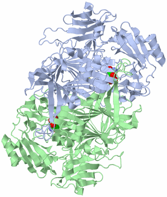 Image Asym./Biol. Unit