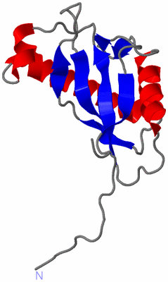 Image NMR Structure - model 1