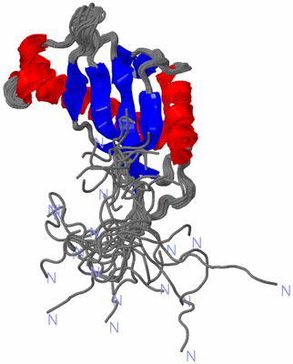 Image NMR Structure - all models