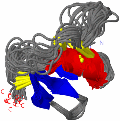 Image NMR Structure - all models