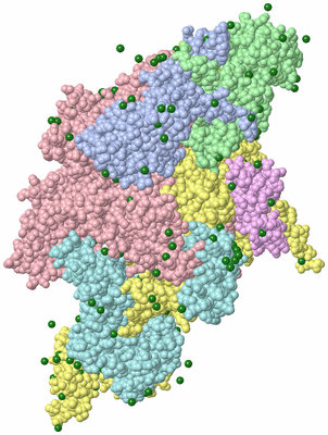 Image Biological Unit 1