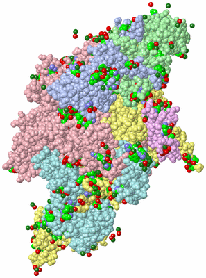 Image Biol. Unit 1 - sites