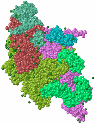 Image Biological Unit 2