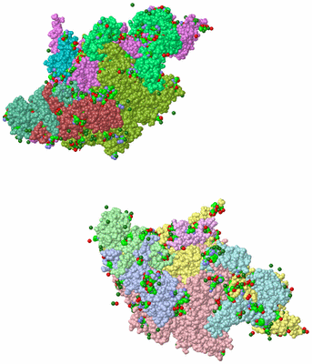 Image Asym. Unit - sites