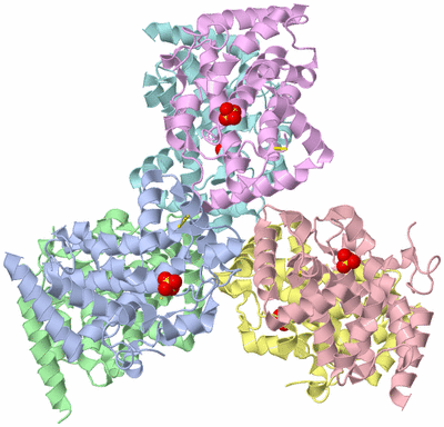 Image Asym./Biol. Unit