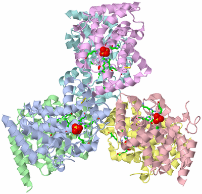 Image Asym./Biol. Unit - sites