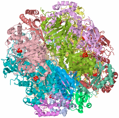 Image Asym./Biol. Unit