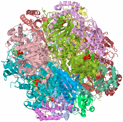 Image Asym./Biol. Unit - sites