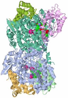 Image Biological Unit 1