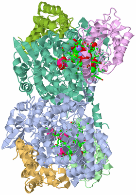 Image Biol. Unit 1 - sites