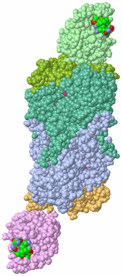 Image Biological Unit 2