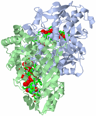 Image Asym./Biol. Unit - sites