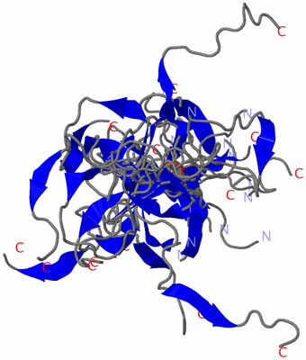 Image NMR Structure - all models