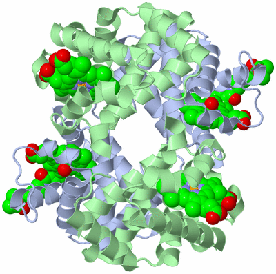 Image Biological Unit 1