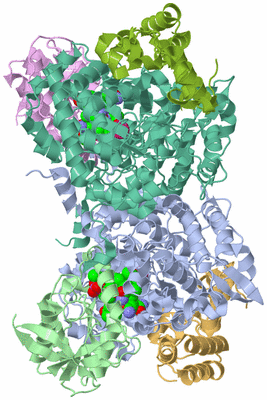 Image Asym./Biol. Unit