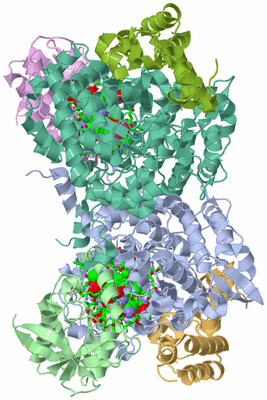 Image Asym./Biol. Unit - sites