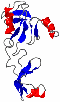 Image NMR Structure - model 1