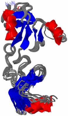 Image NMR Structure - all models