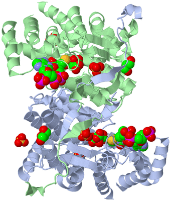 Image Biological Unit 1