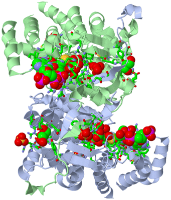 Image Biol. Unit 1 - sites