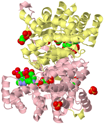 Image Biological Unit 2