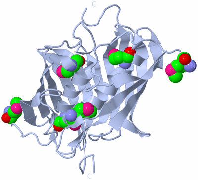 Image Biological Unit 2