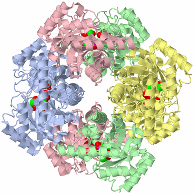 Image Biological Unit 1