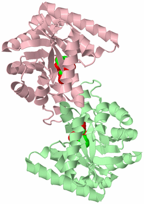 Image Biological Unit 2