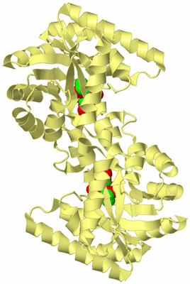 Image Biological Unit 3