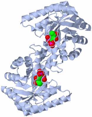 Image Biological Unit 4