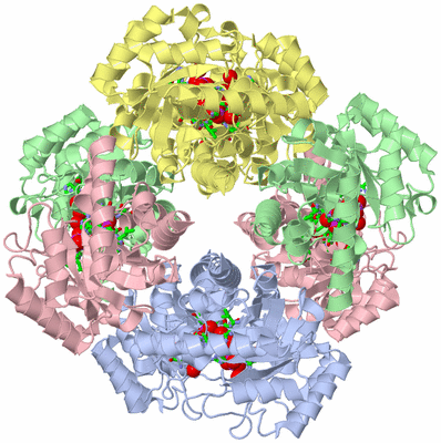 Image Biol. Unit 1 - sites