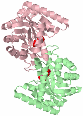 Image Biological Unit 2