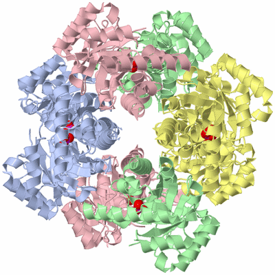 Image Biological Unit 1