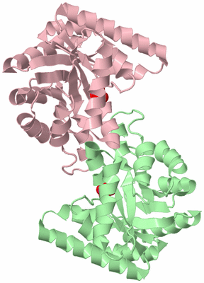 Image Biological Unit 2