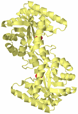 Image Biological Unit 3