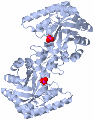 Image Biological Unit 4