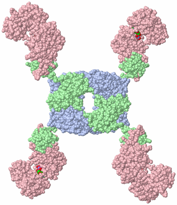 Image Biological Unit 1