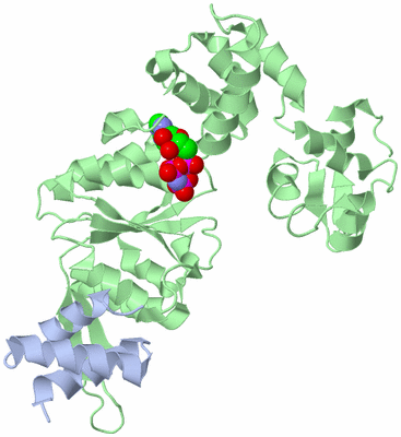 Image Asym./Biol. Unit