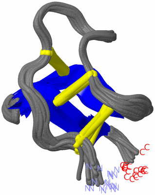 Image NMR Structure - all models