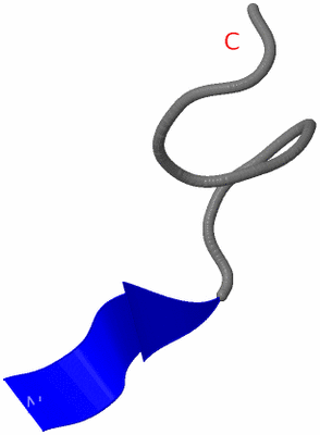 Image NMR Structure - model 1