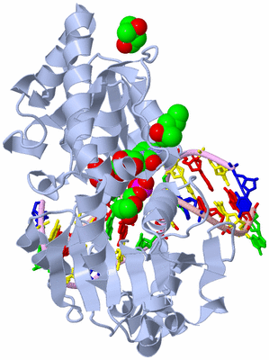 Image Biological Unit 1