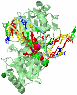 Image Biological Unit 2