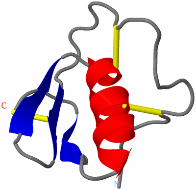 Image NMR Structure - model 1