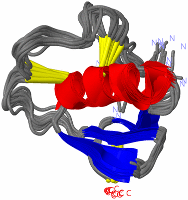 Image NMR Structure - all models
